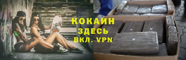 дурь Магас
