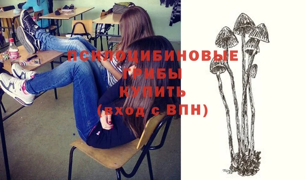 дурь Магас