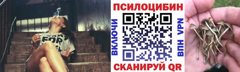 Купить закладки  Пустошка  Псилоцибиновые грибы мухоморы 